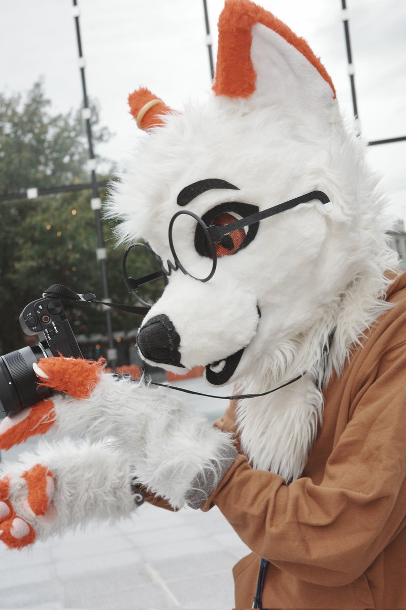 A little more to the left, that way you're properly framed ! 

📸 : Badgyote on BS

#FursuitFriday #fursuiter #fursuit