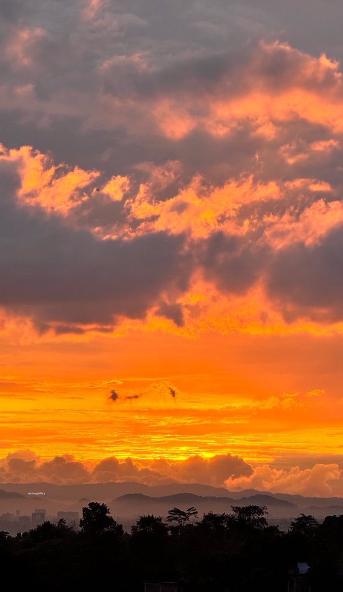 ᴍᴏᴢᴀ tweet media