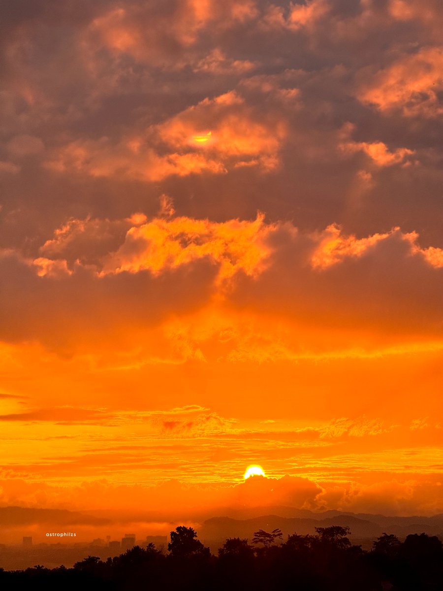 ᴍᴏᴢᴀ tweet media