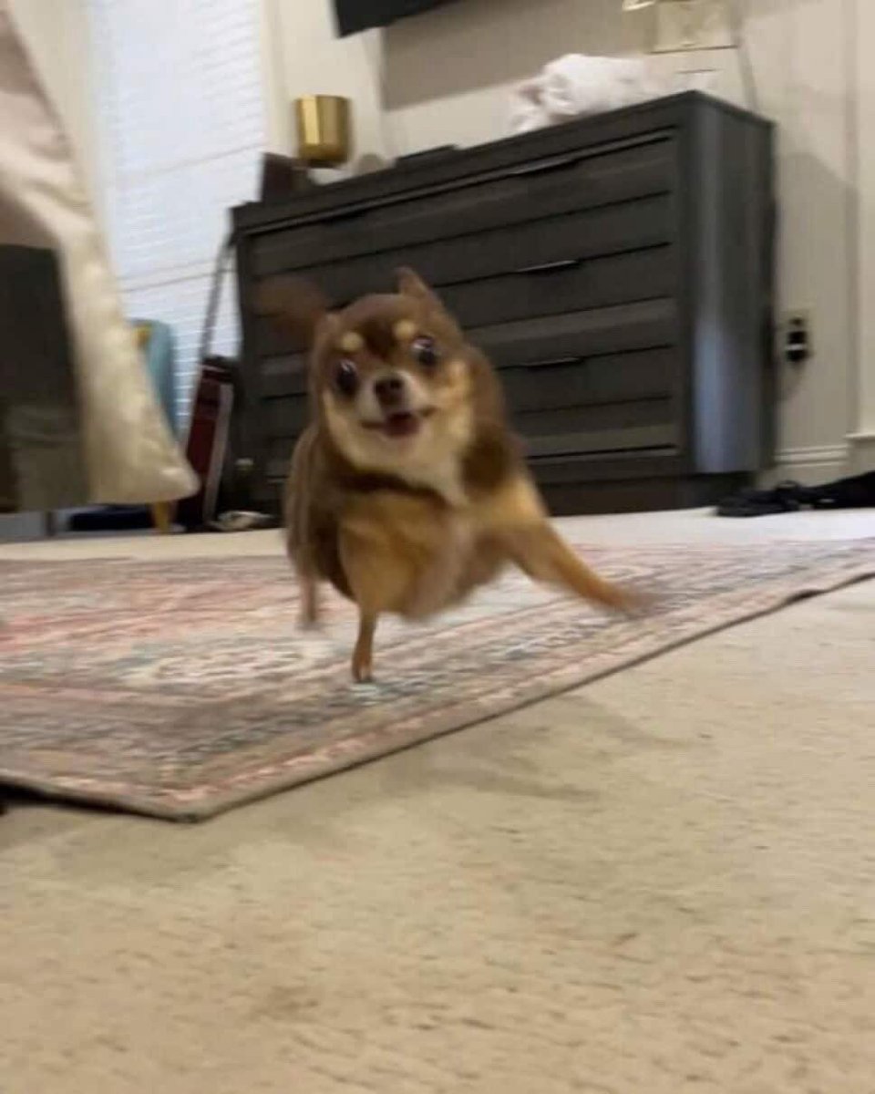 헉...😻!!!!!
반가워요🤎🤎