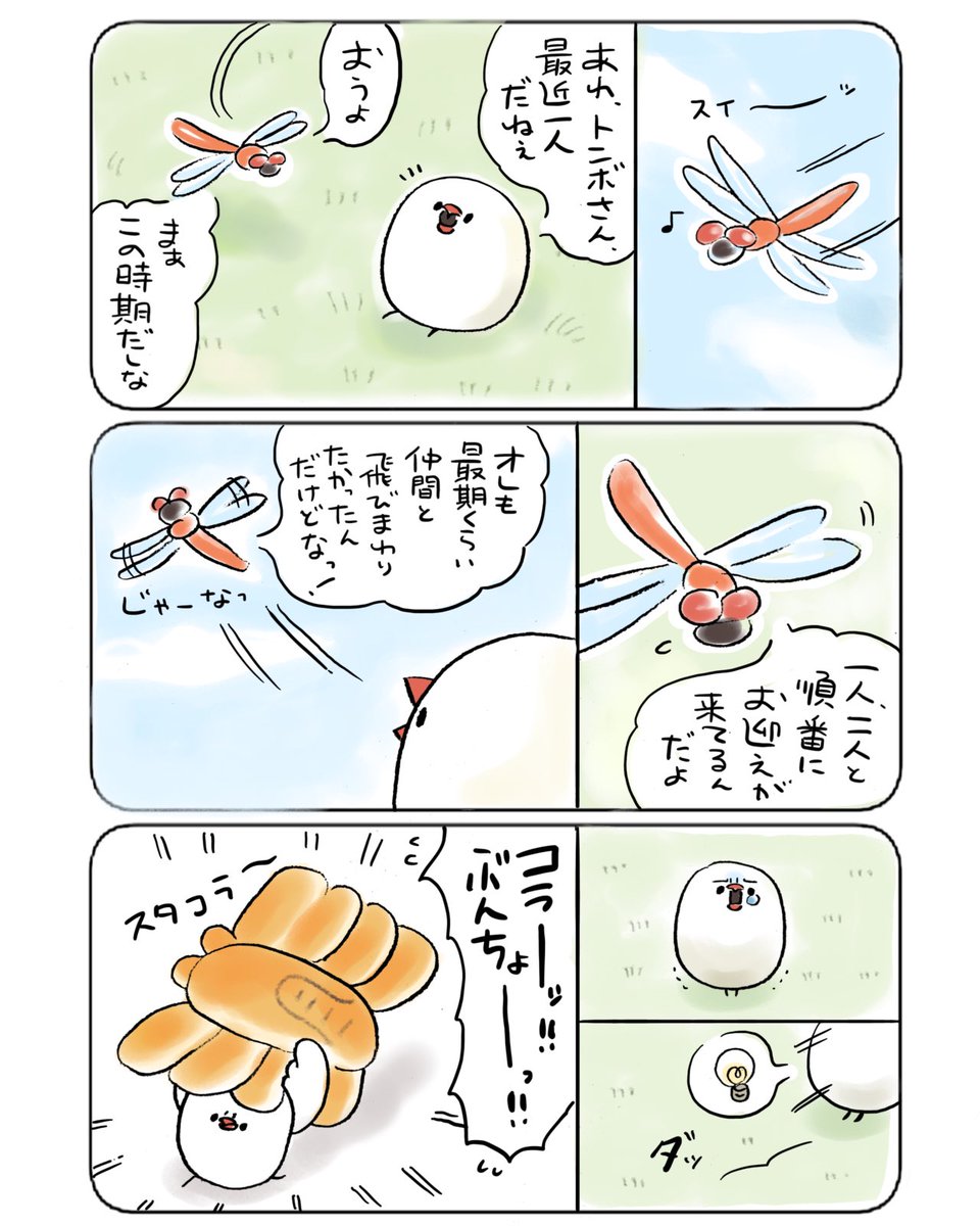 赤トンボとぶんちょ 