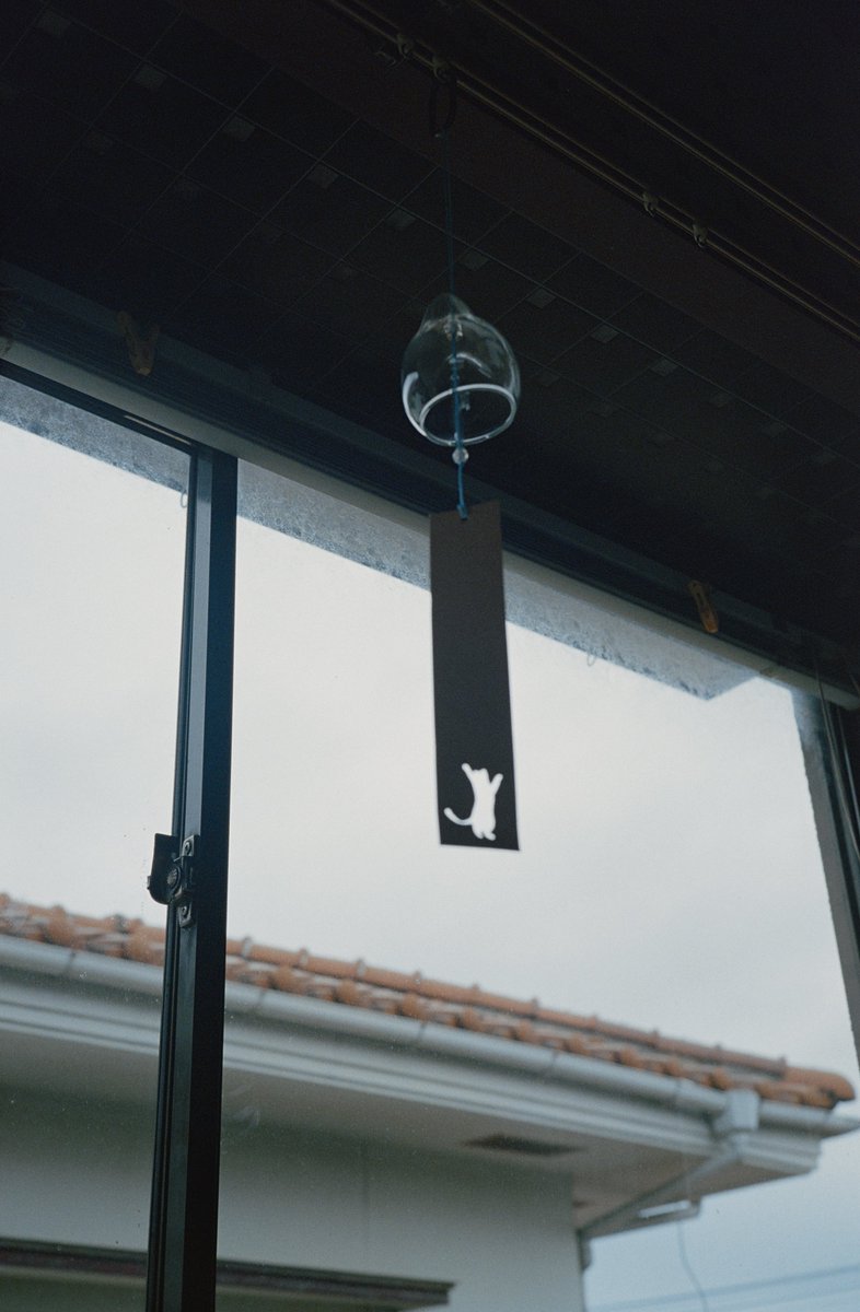 chi_aki_jpg's tweet image. ろらーいのおしゃしんが！みたいよ！
まだかな！（）

 #Rollei35
 #ナツラボ