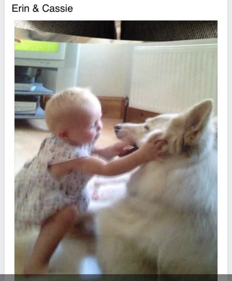 Mark Tabiner tweet media