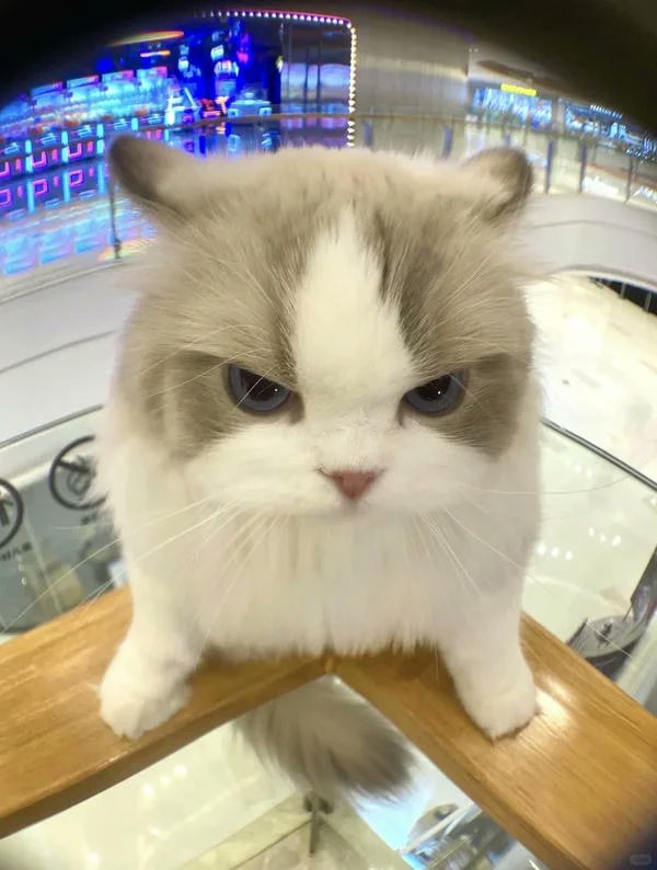 smile4me2k5's tweet image. NDMMA244.34554.HHA32