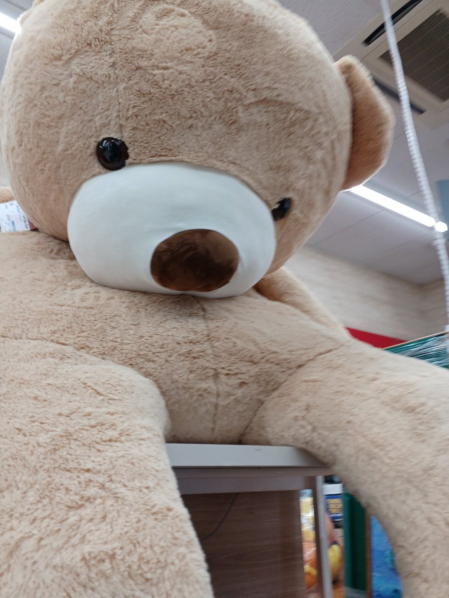 くまクマ熊ベアー