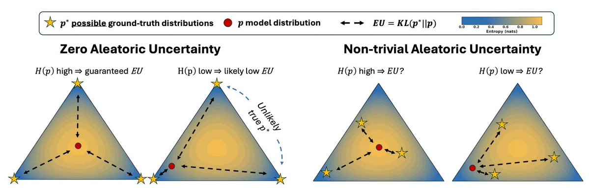 Tim Tomov tweet media