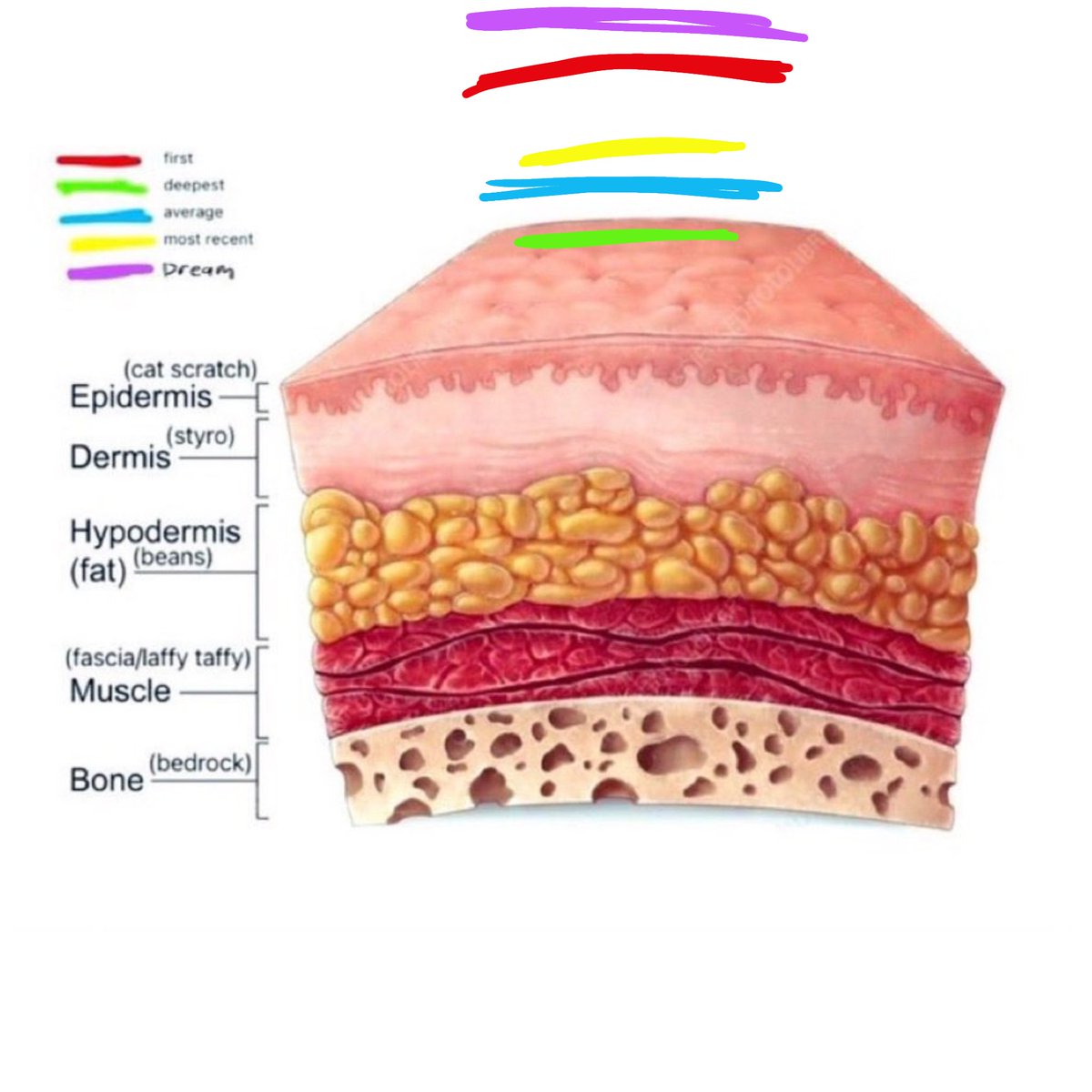 Noma | Gregor of Shtwt tweet media