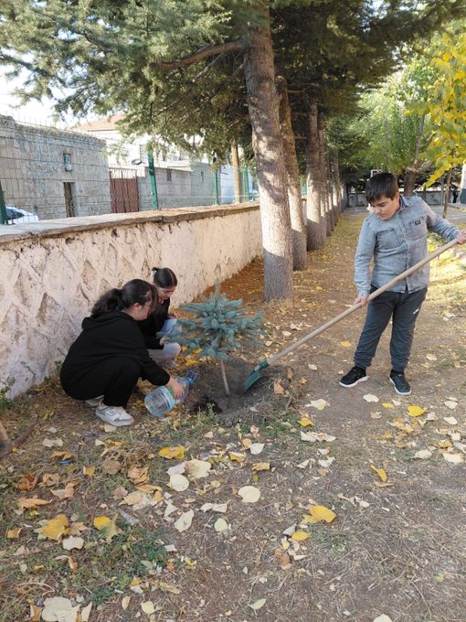 First image shows a young pine tree planted in dry soil with fallen leaves around its base, decorated with blue, pink, yellow, and red ribbons tied to branches, and several white paper tags attached with handwritten messages in Turkish script, two hands holding additional tags nearby. Second image displays three children, two girls in black hoodies and one boy in a gray tracksuit, kneeling and standing on a paved area beside a stone wall, collaboratively planting a small evergreen sapling into a hole in the ground using a blue watering can and a tool, surrounded by yellow autumn leaves and other trees in the background.