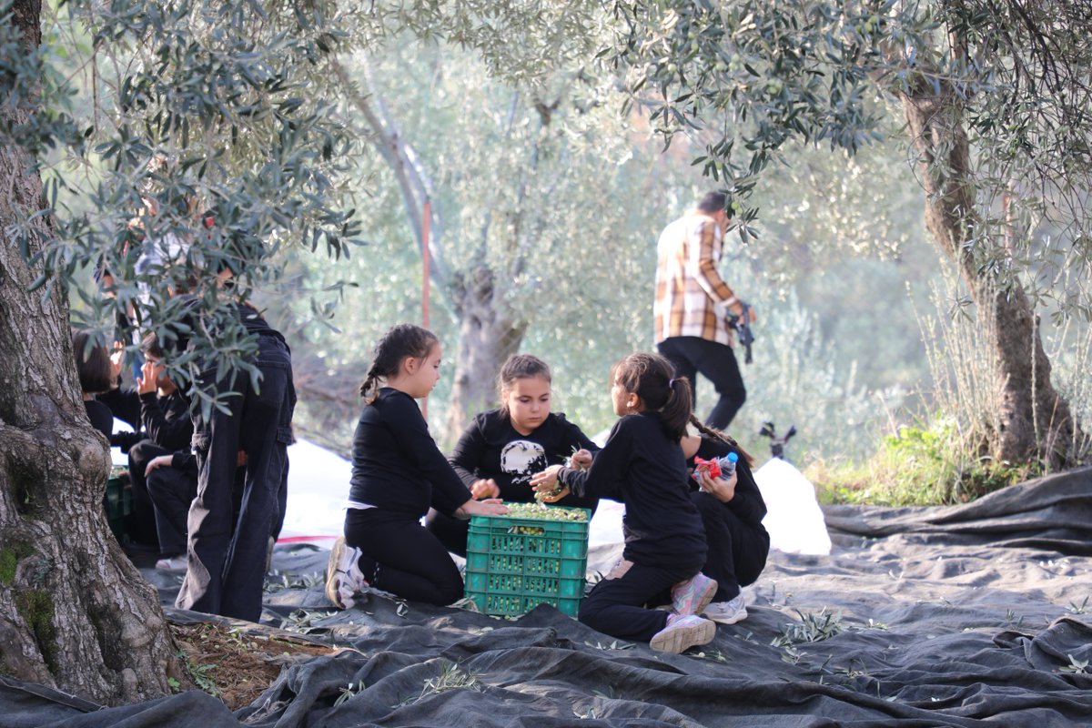 Kaymakam Odabaş ,Edremit İlçe Tarım ve Orman Müdürlüğü tarafından yürütülen  "4. Tarımsal Üretim ve Tarladan Sofraya Gıda Güvenilirliği Bilincinin Oluşturulması" Projesi çerçevesinde düzenlenen zeytin hasadı etkinliğine katıldı.

balikesir-edremit.gov.tr/gelecegin-cift…