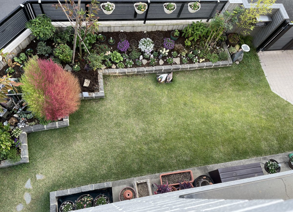 ☆窓花ページです☆ AMBIDEX Store 【予約販売】〇turn flower embroidery フリルブラウス