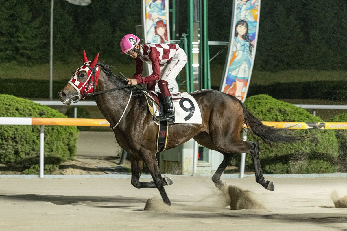 sagakeiba's tweet image. 今日のメインレース 『トパーズ特選』は、ツモが勝利しました🐎
長谷川蓮騎手、ツモ、おめでとうございます！
#さがけいば #佐賀から怪物を