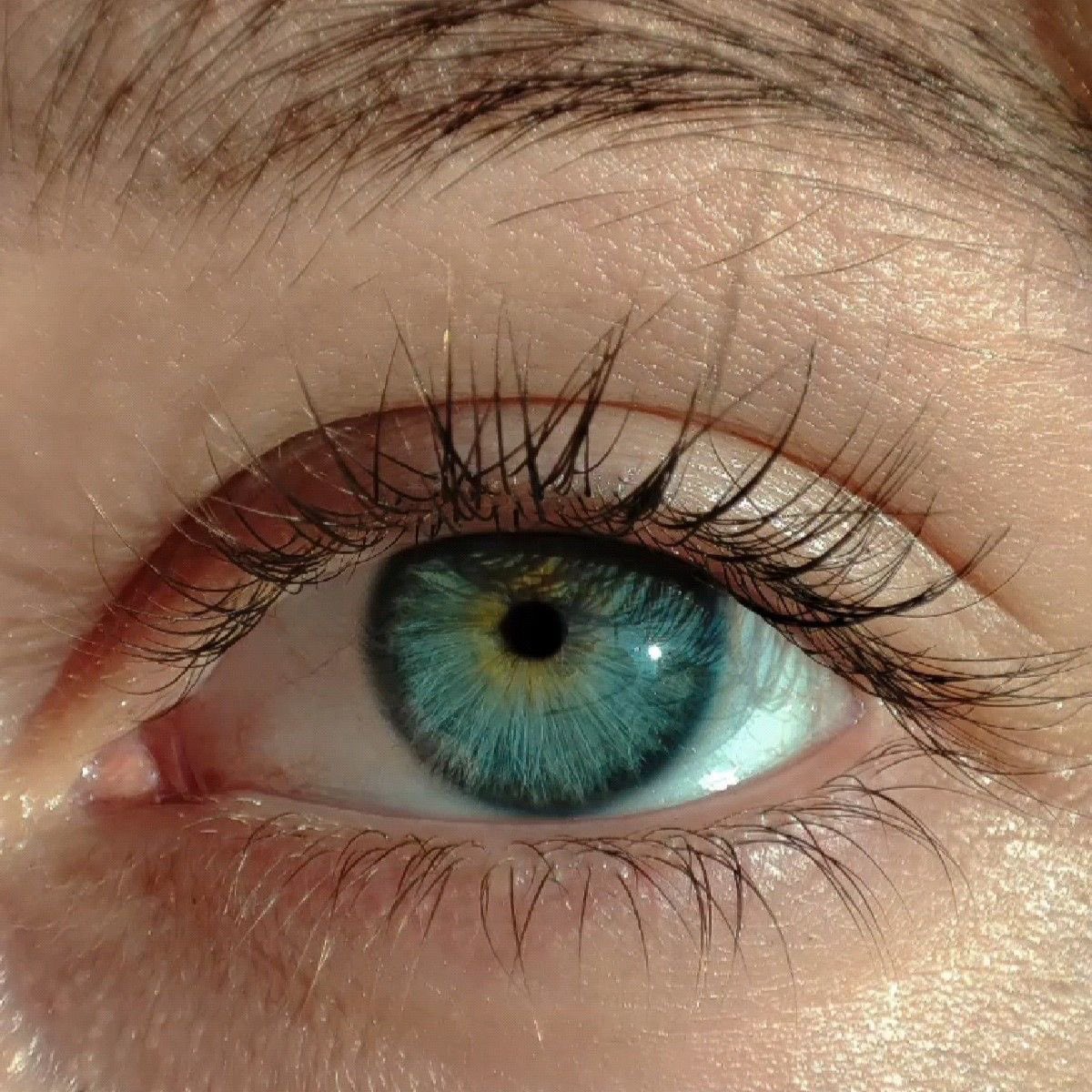 𝕿𝖍𝖊 𝕮𝖔𝖗𝖎𝖓𝖙𝖍𝖎𝖆𝖓 (@0neir0dynia) on Twitter photo 