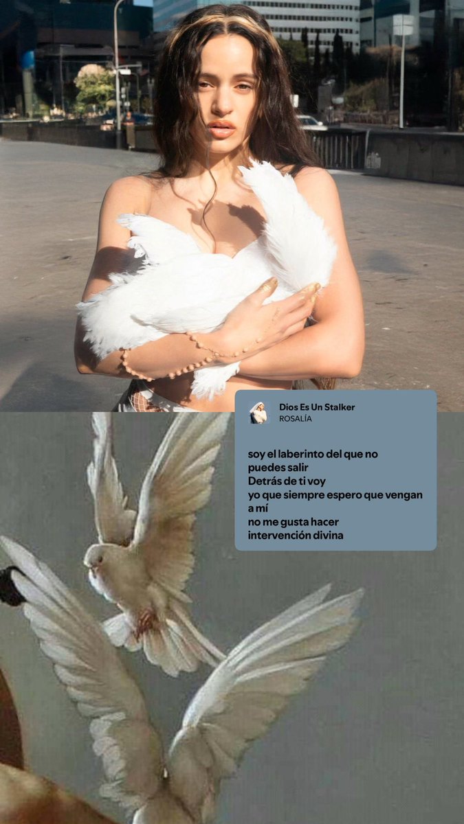 javisnchzz's tweet image. La estética de LUX es una intervención divina