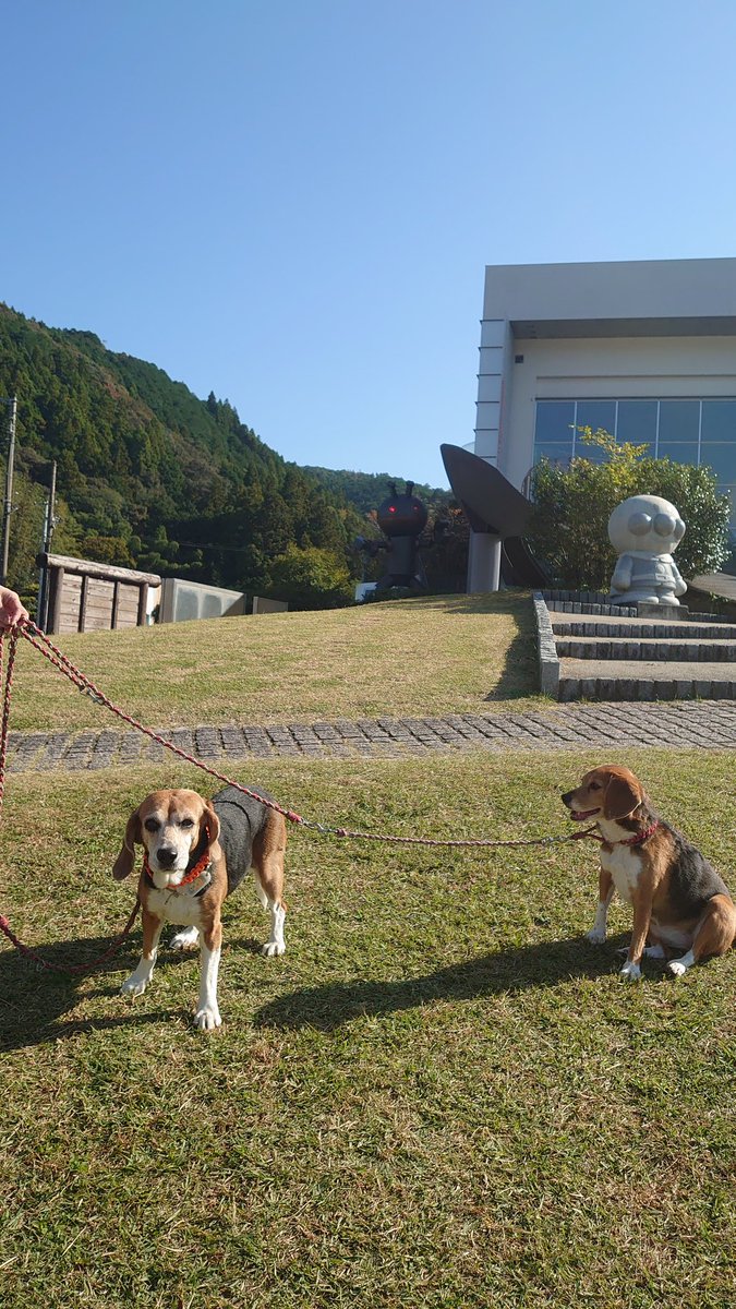 angelofmanner's tweet photo. 高知
アンパンマンミュージアム
に行ってきました。

中に入っていません
(予約要) https://t.co/hsFxxEA38q