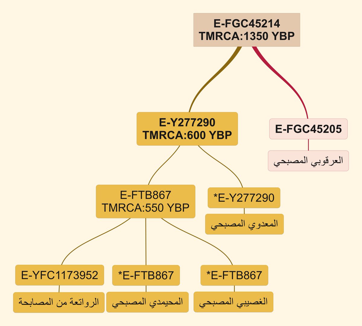 مشروع قبيلة حرب الجيني tweet media