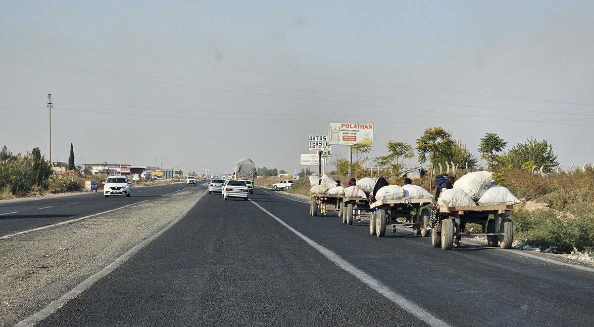 Akçakale yolunda at arabası faciası...