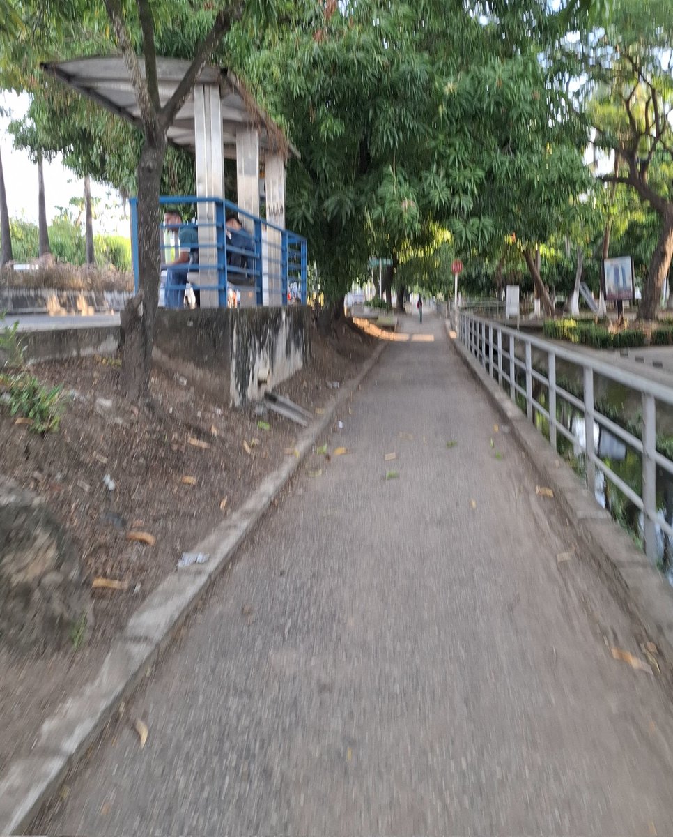 Las Cosas malas se dicen y las buenas también, y hoy quiero agradecerle a la administración en cabeza del alcalde <a href="/kerguelenhugo/">Hugo F. Kerguelen G.</a> por tener en cuenta a todos los actores viales de la ciudad, en este sector había una rama caída hace varias semanas y desde ayer fue retirada donde