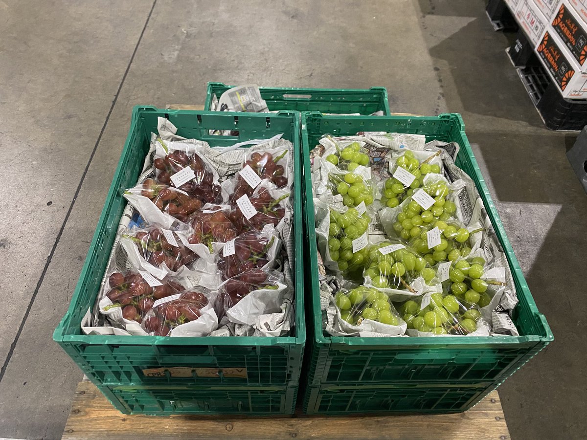 舟ヶ作ぶどう園 on X