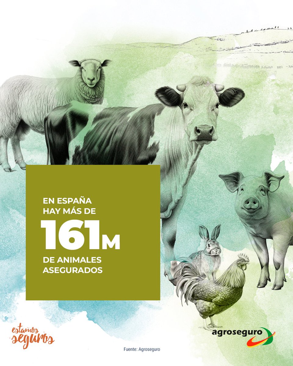🐮🔒 ¿Sabes cuántos animales de granja protege le #seguro #agrario? Nada menos que 161 millones de cabezas de ganado. <a href="/agroseguro_es/">agroseguro</a> 

➡️ bit.ly/3BvShFp ⬅️
