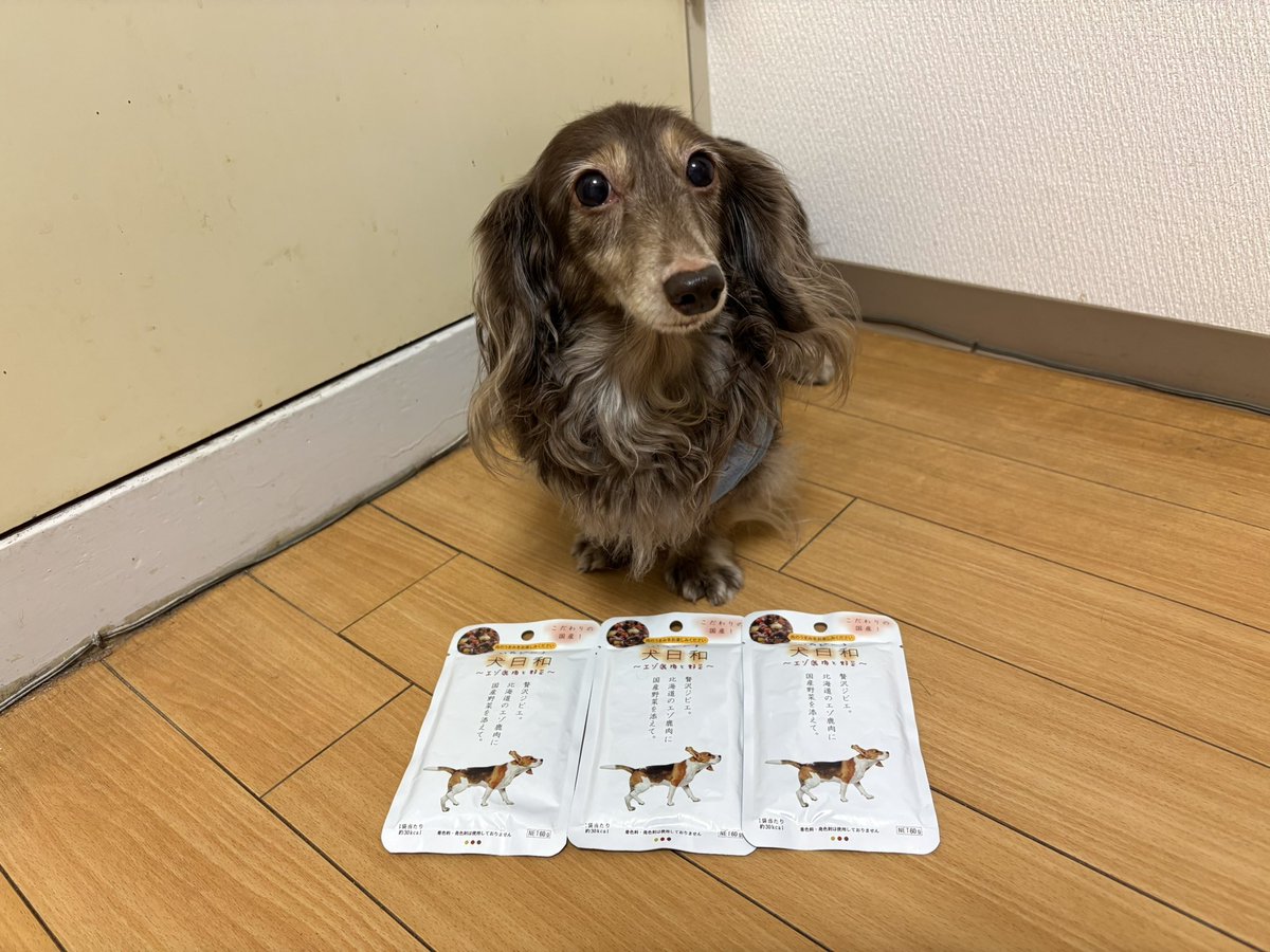 tibi_makiusa's tweet image. アラジンに療法食のウェットフードをトッピングするようになってから「アラジンだけずるーい💢」と怒っていたトンちゃんが遂にハンガーストライキを起こすようになり、近くのコーナン購入できる株式会社わんわんの『犬日和〜エゾ鹿と野菜〜』をトッピングするようになりました💧