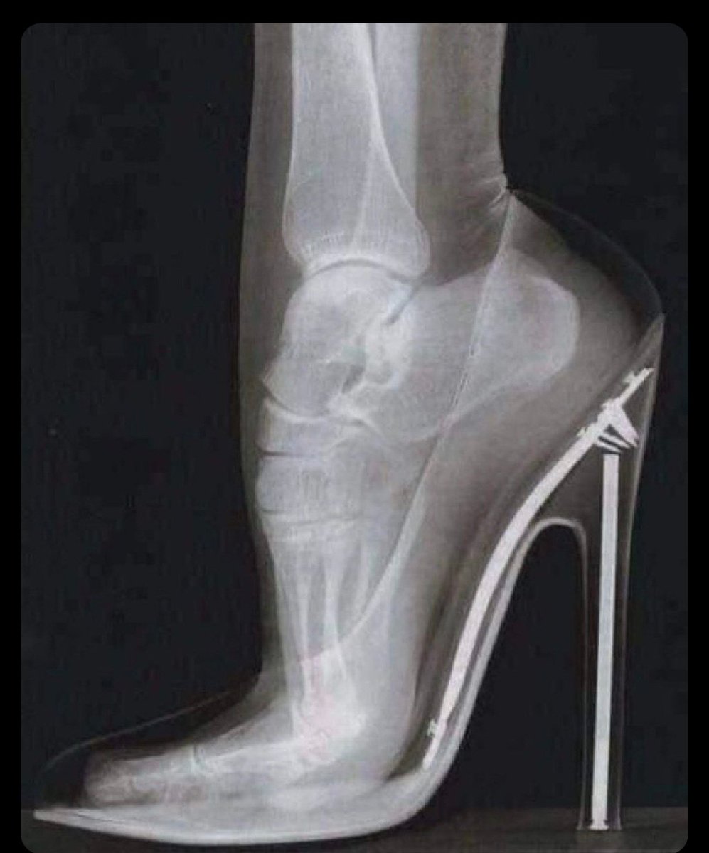 manni atomowitz ☢️🏳️‍🌈 tweet media