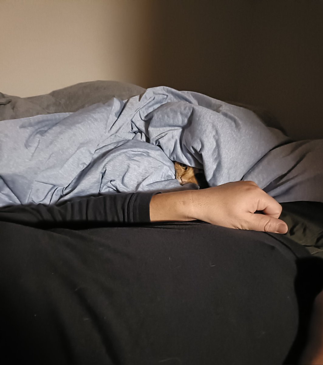 meshi2k's tweet image. 👁️