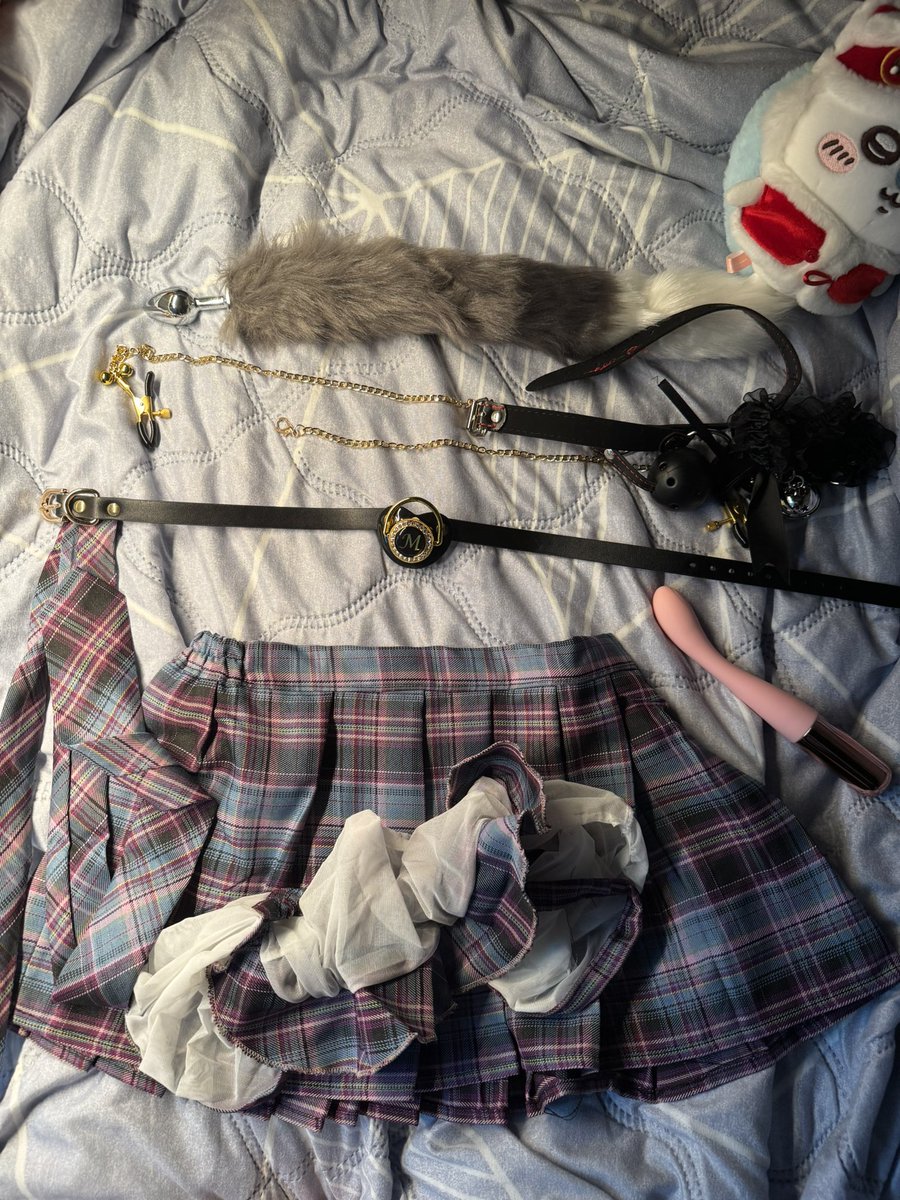 宿舍今晚没人新买的玩具 谁有任务