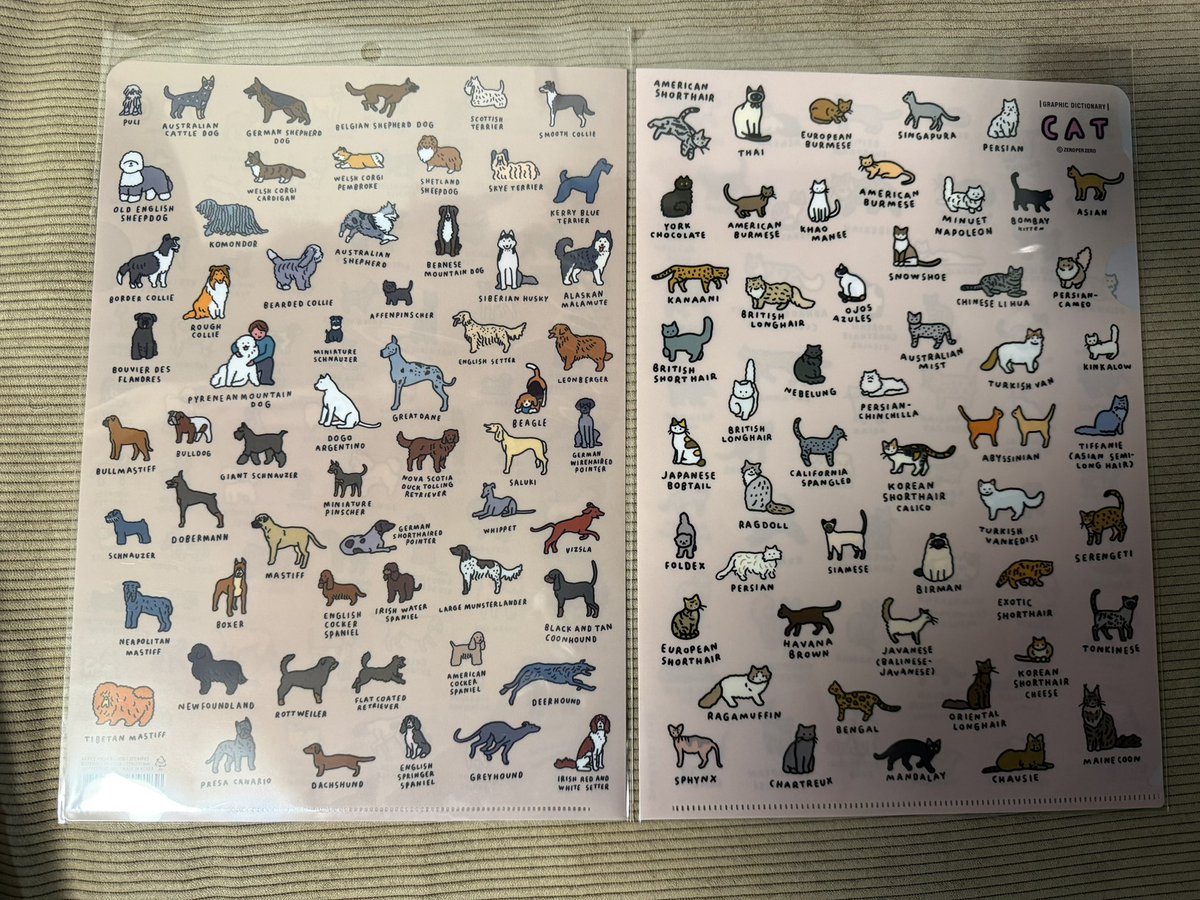 浜崎朱加サイン入りバンテージ イヌとネコのかわいすぎるクリアファイル見つけて即買い！ 裏表印刷🐕🐈‍⬛