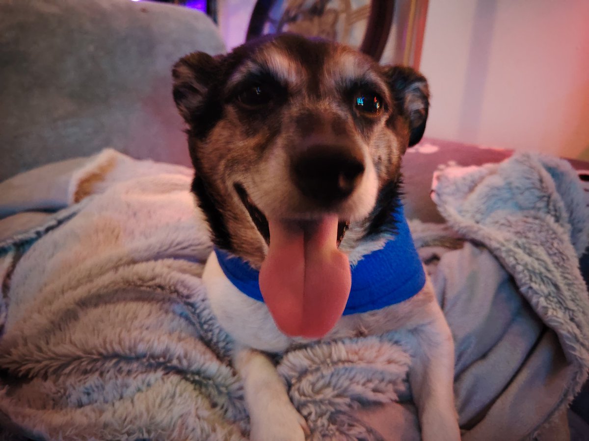 🇨🇵 Dédé 🇫🇷♿ tweet media