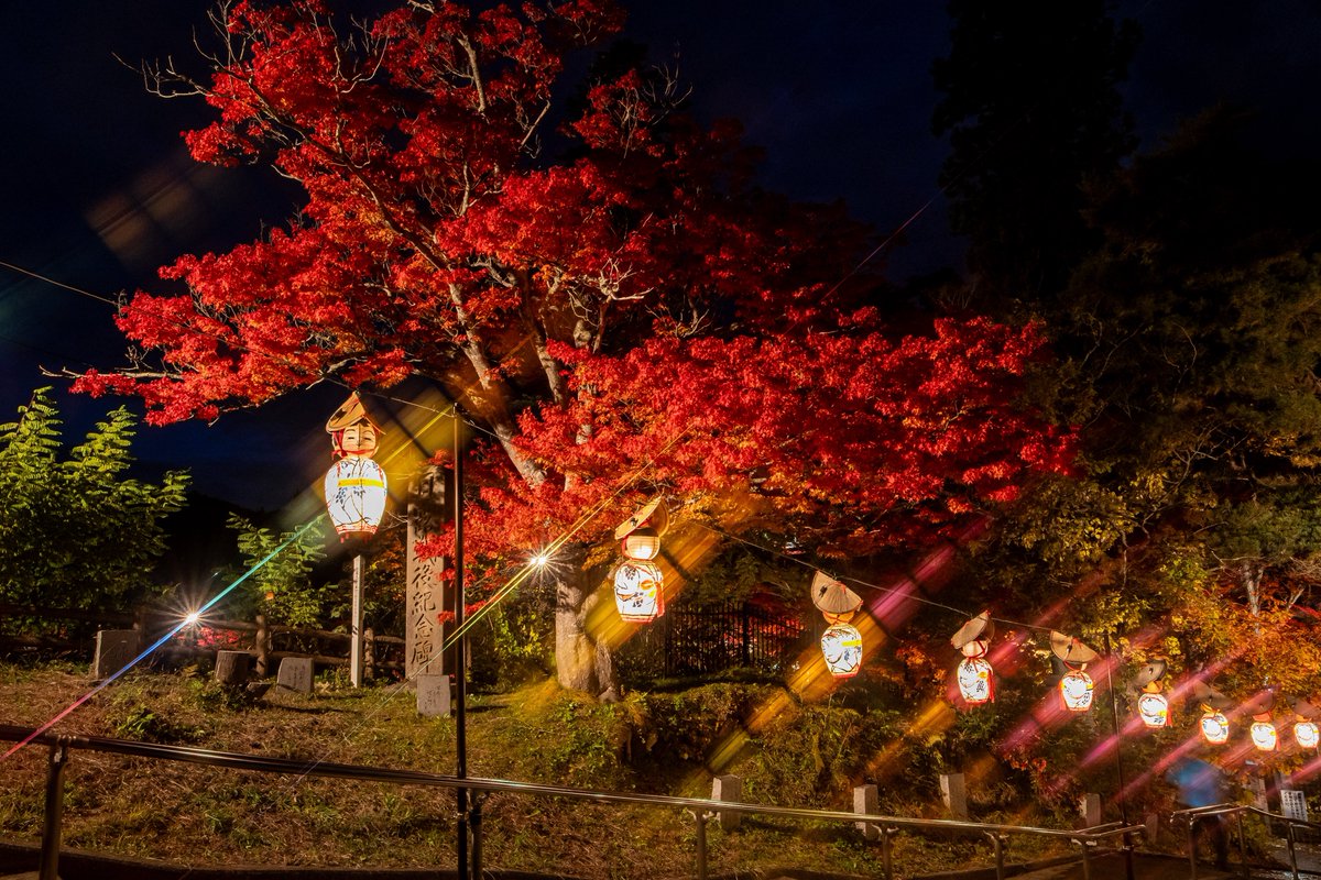 青森県 黒石市 中野もみじ山

ライトアップは9日まで。
今年も色鮮やかに染まっています。

#青森
#黒石
#aomori
#中野もみじ山
#紅葉
#紅葉狩り