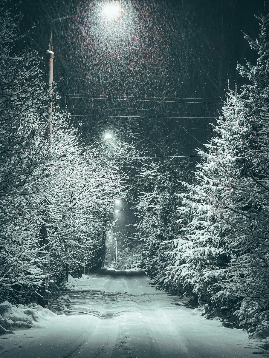 purenature_1's tweet image. Nighty snowfall ❄️⛄️ #winter #cosy