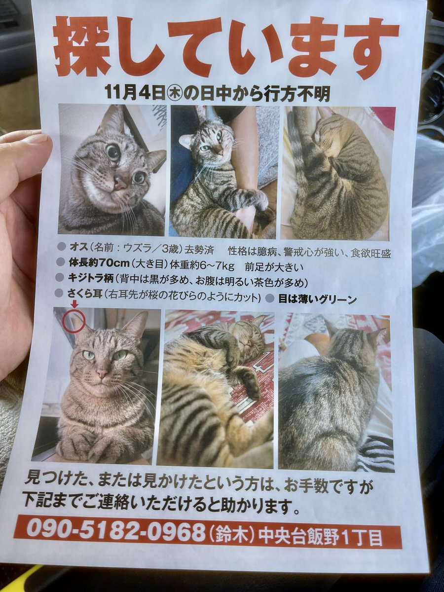 Megumi Tachihara on X