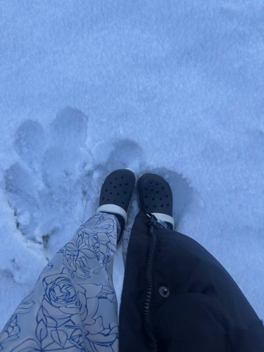 d_ocheido's tweet image. So there’s something that happens here in Canada where I live

Not just here though, it happens in many parts of the world

Something called Winter soltice. Let me not bore you with the science of it

But basically it means that at this time of the year, it starts getting dark…