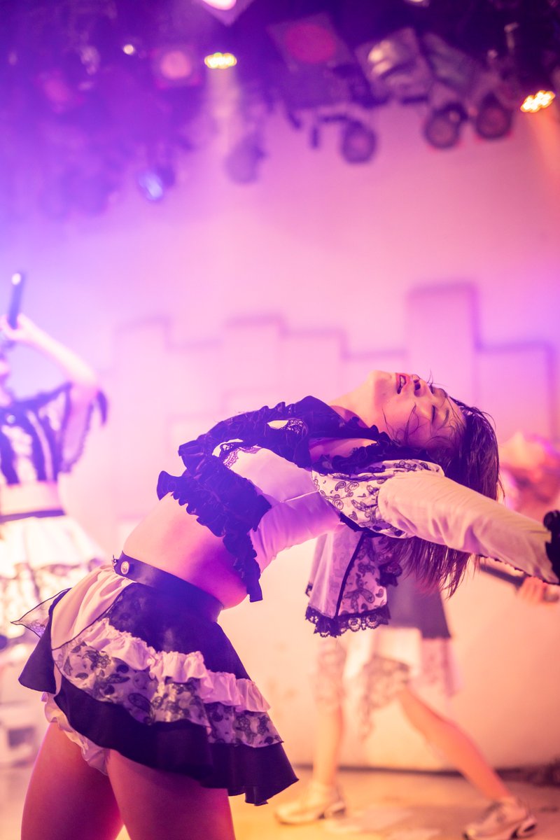 りりりん☆新品希少リンチェイスジャングルパーティーとパロット計6点おまとめ norinoring on X