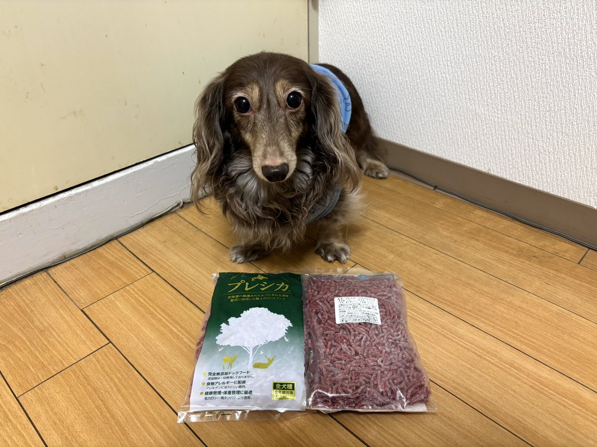 tibi_makiusa's tweet image. 11月7日、トンちゃんのドライフードにトッピングしてる株式会社わんわんの『犬日和〜エゾ鹿肉と野菜〜』のパウチは寒くなると脂が黄色く固まるので、シニアなトンちゃんにはヘルシーな方がいいかと、脂身を取ってくれてるプレシカの『エゾシカ パラパラミンチ』を加熱してトッピングしてみようかな😊