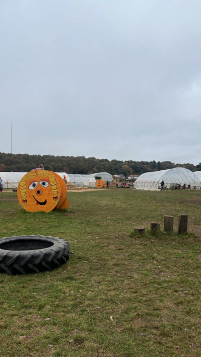 ياخريف سنين هجرك خلص اوراق العمر 🕊️ 🍂