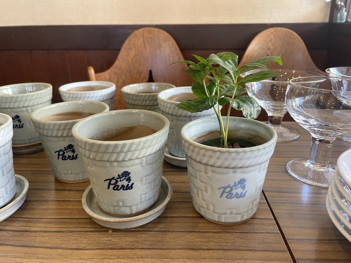 muratashokai's tweet image. 【お知らせ】
明日8日(土)より30日(日)まで、渋谷の喫茶店「パリ」さんの展示を開催します。喫前身のブティック時代の貴重な資料も含め多数展示いたします。
画像2-3枚目は販売するものの一部です。
植木鉢は近年まで店内外で使われていたものですが、たくさん保管されていたという未使用のものです。