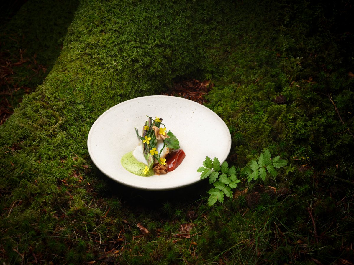 At #LinthwaiteHouse, #solotravel becomes a journey of discovery, comfort, and calm. Enjoy thoughtfully equipped rooms, effortless dining, spa treatments, afternoon tea with views, and local favourites guided by our team. Reserve the perfect getaway: bit.ly/3V9iLDD