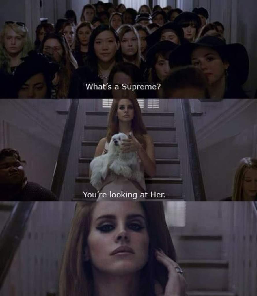 Would you like Lana Del Rey to get involved in a witch themed AHS season?
