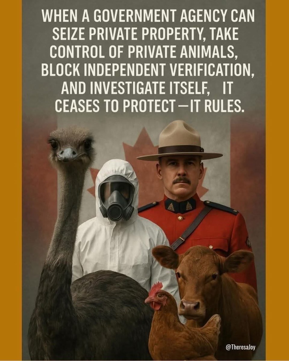 Sassygal1971's tweet image. 