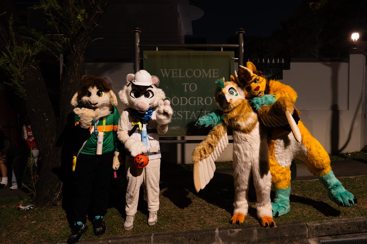 SinagaNeirux's tweet image. Flashback friday for the halloween! With @deeoscillostrix , @MokkyGoat , @Ralphwrenp 

📷: @AndyPhotoOrca 

#FursuitFriday #FurryFriends #happyhalloween
