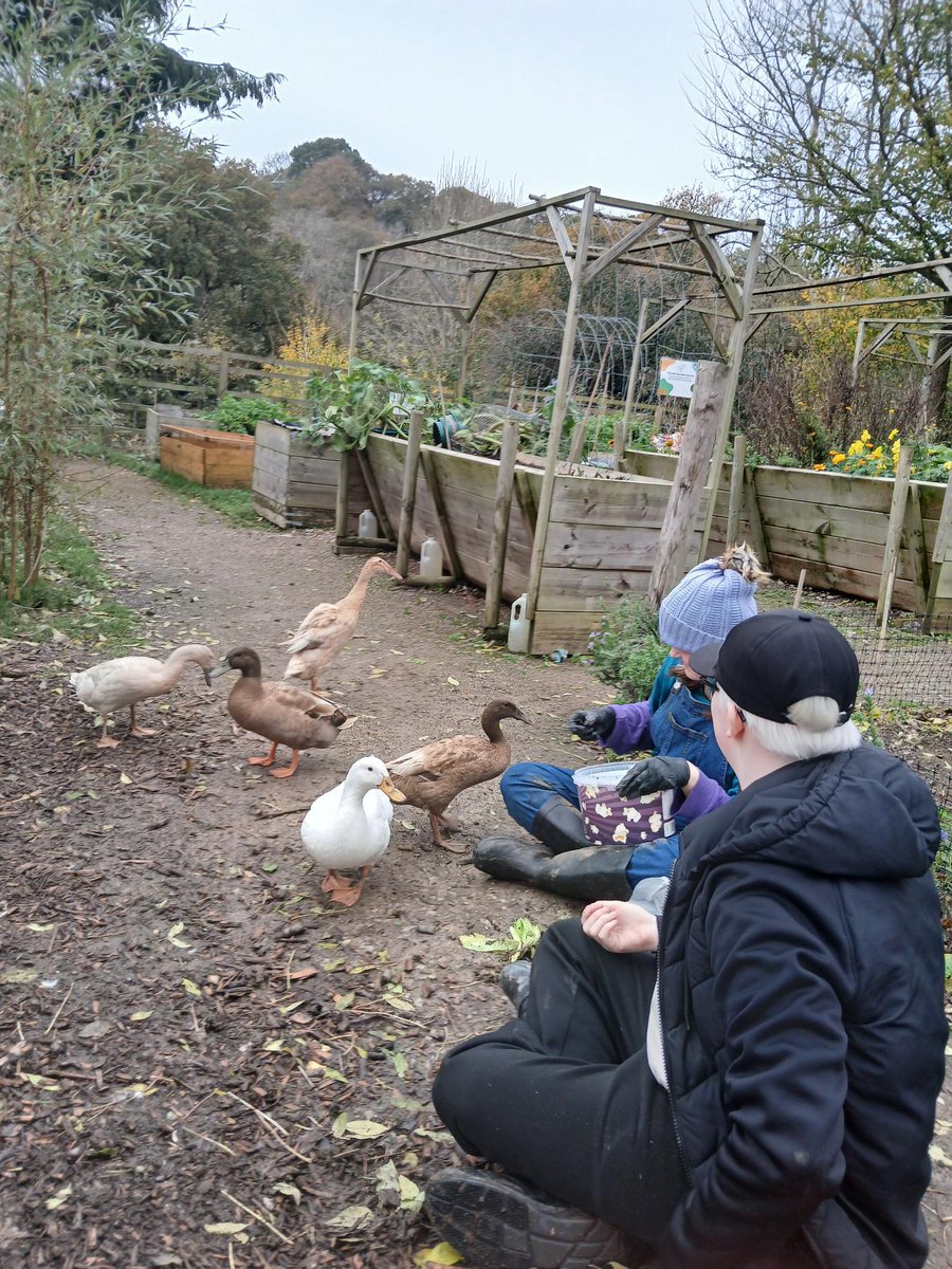 ACE Forest School tweet media