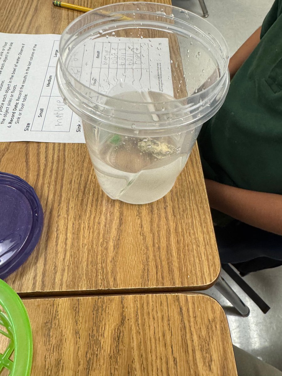 GloriaFloydES's tweet image. Float or sink? 🤔💧 Our curious first graders turned into little scientists today! They made predictions, tested their hypotheses, and recorded their results — all while having a great time in the lab! 🔬📓
#ScienceDay #FirstGradeExperiments #STEMKids #SinkOrFloat
