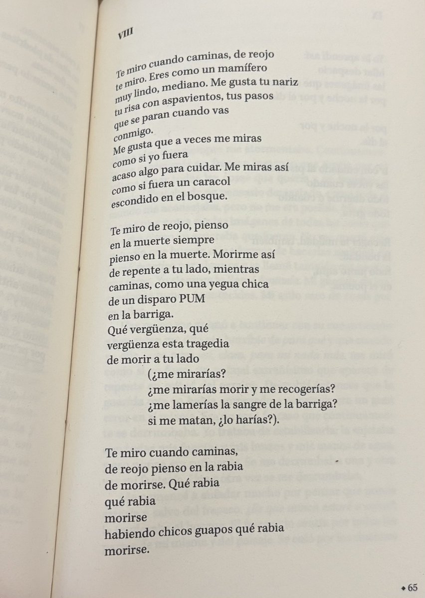 que rabia morirse habiendo chicos guapos !!
1poemita precioso de paula melchor