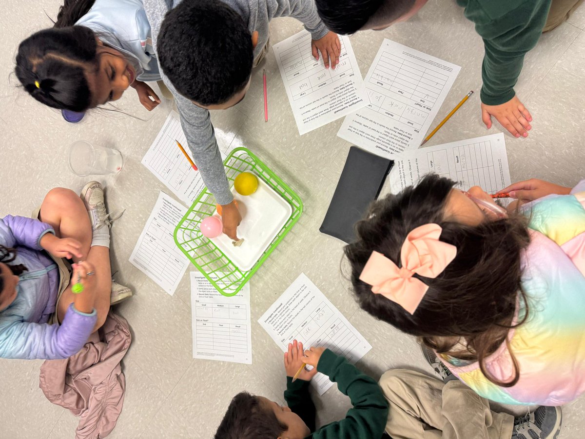 GloriaFloydES's tweet image. Float or sink? 🤔💧 Our curious first graders turned into little scientists today! They made predictions, tested their hypotheses, and recorded their results — all while having a great time in the lab! 🔬📓
#ScienceDay #FirstGradeExperiments #STEMKids #SinkOrFloat