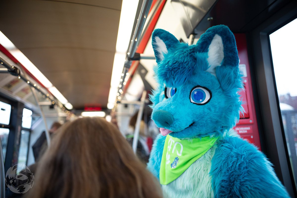 💙💚 I want to show you my daily life 🐶🐶  💚💙

📷 <a href="/Randall_Foxx/">Randall Foxcoon</a> 🥰
🧵 <a href="/Bambilijas/">Bambilijas</a> + <a href="/RokajTheHusky/">Rokaj 🔜NFC</a> 🥰

#happyfursuitfriday
#fursuitfriday
#furry #furrsuit #fursuiter #furryfandom #furries #furryhusky