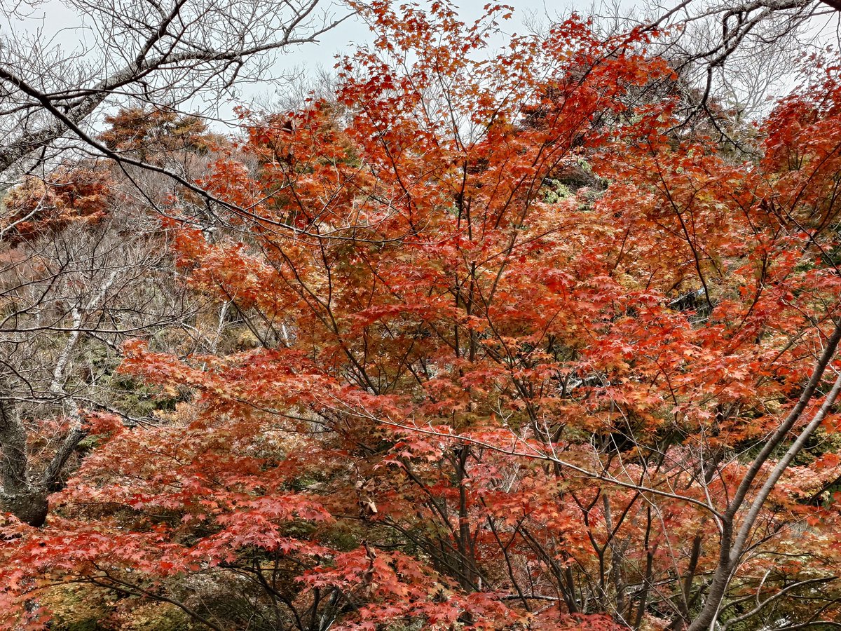 Yuu (@ZX_Yuu) / Posts / X