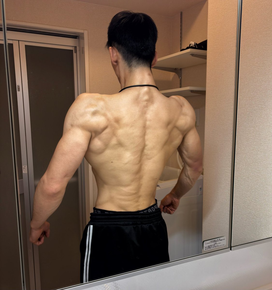 workout_kou's tweet photo. 背中は懸垂とロープ🪢💪 https://t.co/YuTUCd0FXk
