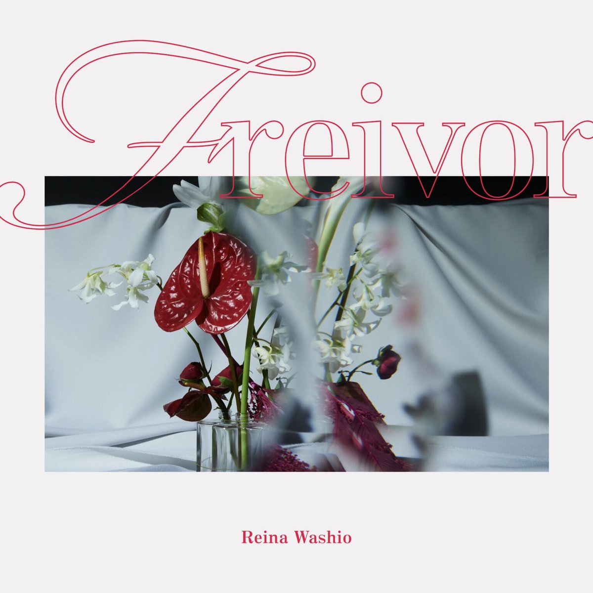 Flower サイン入り　会場限定　鷲尾伶菜 11/19発売Mini Album『freivor』 リリース記念イベント開催決定