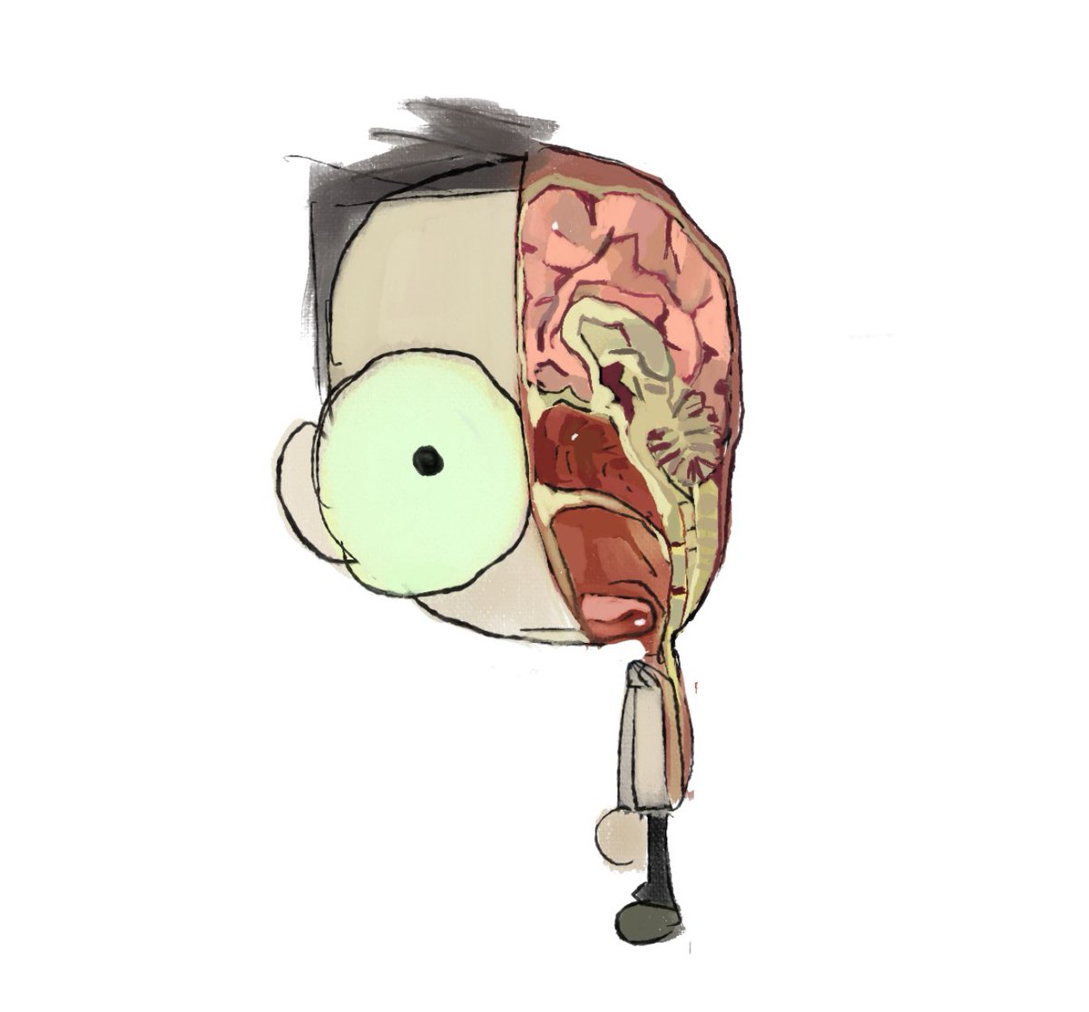 LeeScharping41 (@recosks) on Twitter photo 